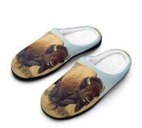 Bison in The Great Plains Mens Slippers Memory Foam Winter Warm Sandals Slip On House Shoes Size 7-14