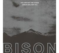 Bison - You Are Not The Ocean You Are The Patient