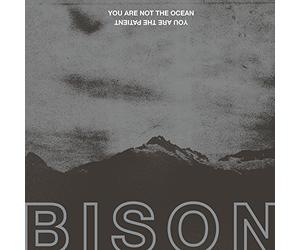 Bison - You Are Not The Ocean You Are The Patient