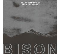 Bison - You Are Not The Ocean You Are The Patient