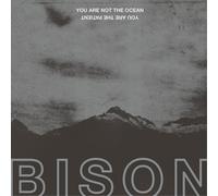 Bison - You Are Not The Ocean You Are The Patient [VINYL]