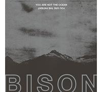 Bison - You Are Not The Ocean You Are The Patient [VINYL]