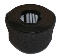 Bissell Homecare International 54A2 Poweredge Replacement Vacuum Filter - Quantity 1