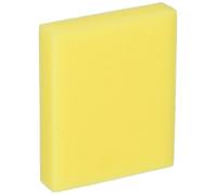 Bissell Pre-Motor 2410 3918 9595 Filter
