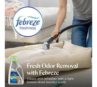BISSELL Professional Pet Urine Elimator with Oxy and Febreze Carpet Cleaner