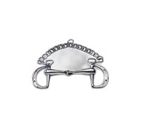 Bit for horse with broken passes Feeling