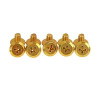 Bit Screw Fixed Bit Screw Suite for Two Hole Knife ，Compatible for Wahl ，8591 8504 8148，Trimmer Replacement Parts(Gold 10pcs)