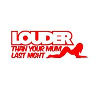 Bitch, You Know What? Louder Than Your Mom was Last Night, Window Decals Black Silver Vinyl(Red,16X5.8CM)