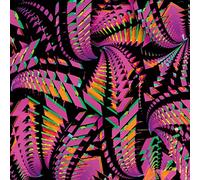 Bitchin Bajas - Bajascillators [VINYL]