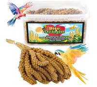 Bite & Delight 0.5kg Natural Millet Sprays - Premium Bird Food for Budgies, Parrots & Pet Birds - Whole Millet, Healthy & Natural Seed Treat