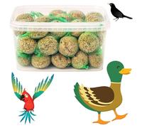 Bite & Delight 6kg Fat Balls for Wild Birds - High-Energy Bird Food for Tits, Sparrows & Garden Birds - Nutritious All-Season Seed Balls - No Net - Ideal for Year-Round Feeding