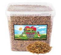 Bite & Delight Premium Dried Mealworms High-Protein, High-Fat Wild Bird Year Round Use Hedgehog Squirrel Hamster Food For Animals All Purpose Feed Bird 10000 ml