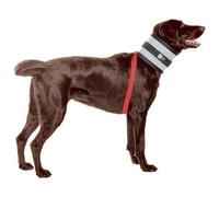 BiteNot Collar, 6" W x 27" L