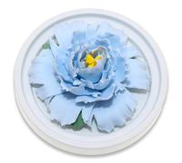 BITEYI Aroma Diffuser Passive Aromatherapy Diffuser Ceramic Flower Essential Oil Diffuser for Office,Dresser and Bedrooms (Blue)