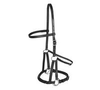 Bitless bridle for horses Tellington Ttouch