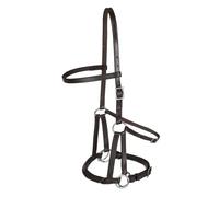 Bitless bridle for horses Tellington Ttouch