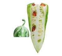 Bitter Vegetable Outfit - 30.71 Inch Adult Costume Funny Realistic Design for Dress Up, Comfortable Party Wear with Uniques Style, Performance Clothing for Mardi Gras Photoshoot and Festival
