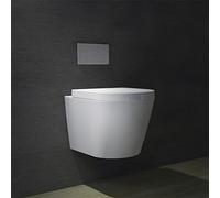 Biubiubath Rimless Wall Hung Toilet & Soft Close Seat Modern Bathroom White Ceramic WC Pan