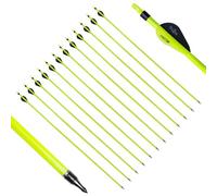 biubiusot 31" Carbon Arrows 350 500 Spine Archery Hunting with Replaceable Broadhead Target Practice for Compound Recurve Bow 12pcs (Mixed carbon arrows)