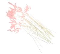 BIUDECO 120pcs Natural Dried Rabbit Tail Grass Flower Arrangements Beautiful Bunny Tail Grass Decor and Pink Dried Plant Adorn for Wedding Home Decor and Graduation W ifts