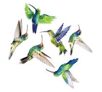 BIUDECO 6pcs Hummingbirds Wall Decal Vibrant Bird Pattern Stickers for Bedroom Living Window Decoration PVC Art Wall Decor with Smooth Design