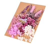 BIUDECO DIY Dried Flowers Craft Kit Natural Pressed Floral Materials for Resin Candle Making Home and Handmade Accessories Real Dry Flowers for Unique Decoration and Art Projects