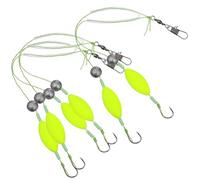 BIUDECO Double Hook Fish Hook Rig with Reverse Bottom Line for Saltwater Fishing Gear Featuring High Sensitivity Float for Angling Success