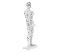 BIUDECO Human Acupuncture Model Male Body Display with Precise Pressure Points and Meridian Mapping for Traditional Chinese Medicine Training and Massage Practice