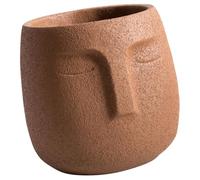 BIUDECO Matte Coffee Color Ceramic Face Planter 12x12x12cm with Drainage Hole, Abstract Nordic Style Flower Pot for Indoor Outdoor Garden, Creative Plant Holder for Home Office