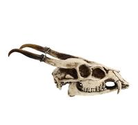 BIUDECO Resin Goat Skull 3D Viking Skeleton Wall Art Creative Aquarium Decor and Garden Landscaping Ornament