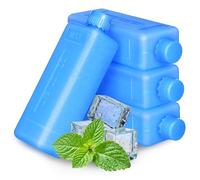 BIUDECO Reusable Cooler Ice Packs 4pcs with Leak-proof Lid Design Lightweight PE Material and for Transporting Food and Fruit in Restaurants and Outdoor Activities