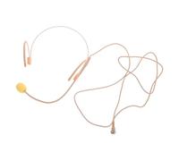 BIUDECO Wired Headworn Microphone Headset with Double Over Ear Mic Voice Amplifier for Teachers Tour Guides Public Speaking and Teaching Use