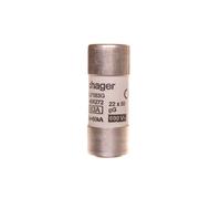 BiWtz Cylinder Fuse 22x58 gG 63A LF563G Weber