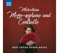 BIZET ETC:MARVELLOUS MEZZO [CD]