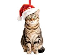 BIZIBAFF Tabby Cat Christmas Ornament - 2D Realistic Cats Ornaments for Christmas Tree - Acrylic Lifelike Kitten Ornament Decor, Gifts for Cat Lovers Women & Men Pet Memorial Keepsake