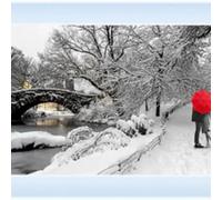 Biznest A Walk In The Park Picture Liquid Glitter Wall Art Mirrored Frame 85X45Cm B-Fg13