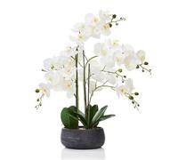 Biznest Artificial Orchid Plant Faux Real Touch White Flowers In Black Decorative Pot Life Like Experience Glamour And Elegant 64 Cm Tall