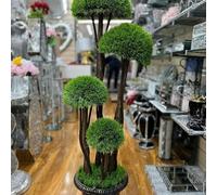 Biznest Artificial Plant Cedar Ball Topiary Tree With Pot Faux Round Shrub Bush Decoration Greenery (4 Grass Flower 120Cm)