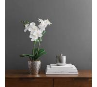 Biznest Artificial White Orchid In Silver Pot Realistic Floral Arrangement For Home Decor 50Cm Height