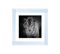 Biznest Blue Eyes Tiger Glitter Liquid Wall Art
