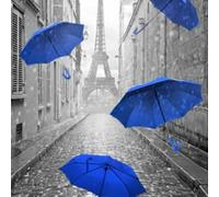 Biznest Parisienne Street Blue Umbrellas Picture Liquid 3D Wall Decor Glitter Wall Art Mirrored Frame 55X55Cm