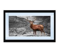 Biznest Stag In Highlands Glitter Liquid Wall Art