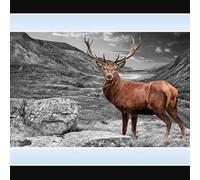 Biznest Stag In Highlands Picture Liquid 3D Wall Decor Glitter Wall Art Mirrored Frame Home Decoration 85X45Cm B-An006