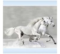 Biznest White Horses Picture Liquid 3D Wall Decor Glitter Wall Art Mirrored Frame Home Deco 55X55Cm An248