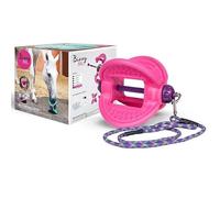 Bizzy Ball for Horses Stable Boredom Breaker - PINK