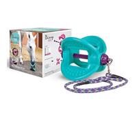 Bizzy Balls for Horses, Stable Boredom Breaker - Aqua colour