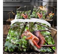 BJCJGGL King Size Duvet Set Square Squirrel Bedding Set for Aldult Kids - Duvet Cover with Zipper Closure and 2 Pillowcases 19.7"x 29.5" - Soft Breathable Microfiber Quilt Cover 90.5"x 86.6"