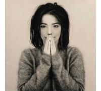Björk - Debut