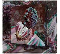 Bjork - Fossora [Limited Deluxe] [VINYL]