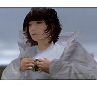 Björk - Joga